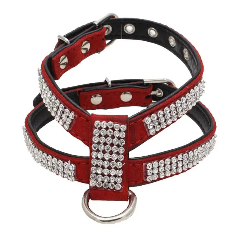 Harnais pour Chihuahua de luxe