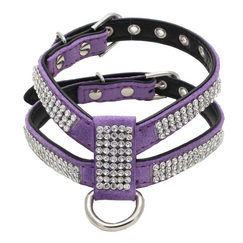 Harnais pour Chihuahua de luxe
