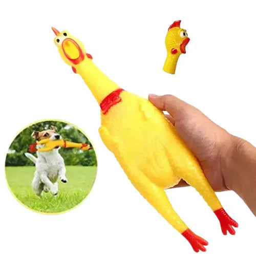 Jouet grinçant poulet pour chien - jouets couineursjetables Transparent Background