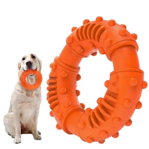 Chien avec jouet dentaire pour grands chiens dans la bouche, soin dentaire avantages Transparent Background