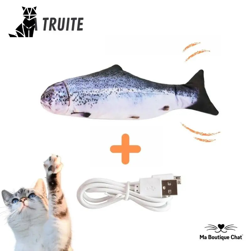 Poisson pour chat | CatsFish™