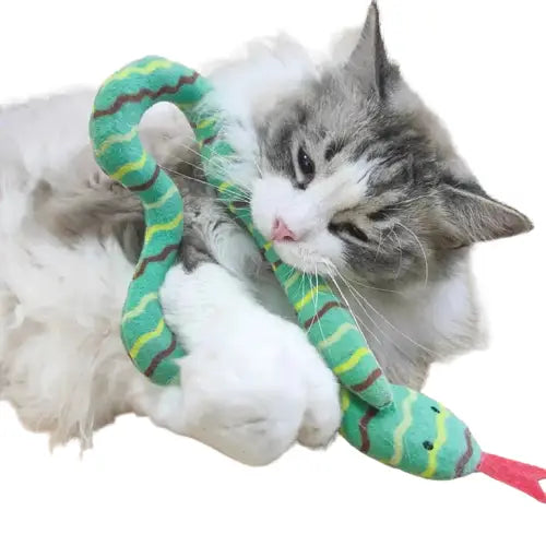 Jouet serpent amusant pour chats et chiens : Un cadeau idéal pour votre animal de compagnie - Jouet serpent, cadeau idéal, activité physique Transparent Background