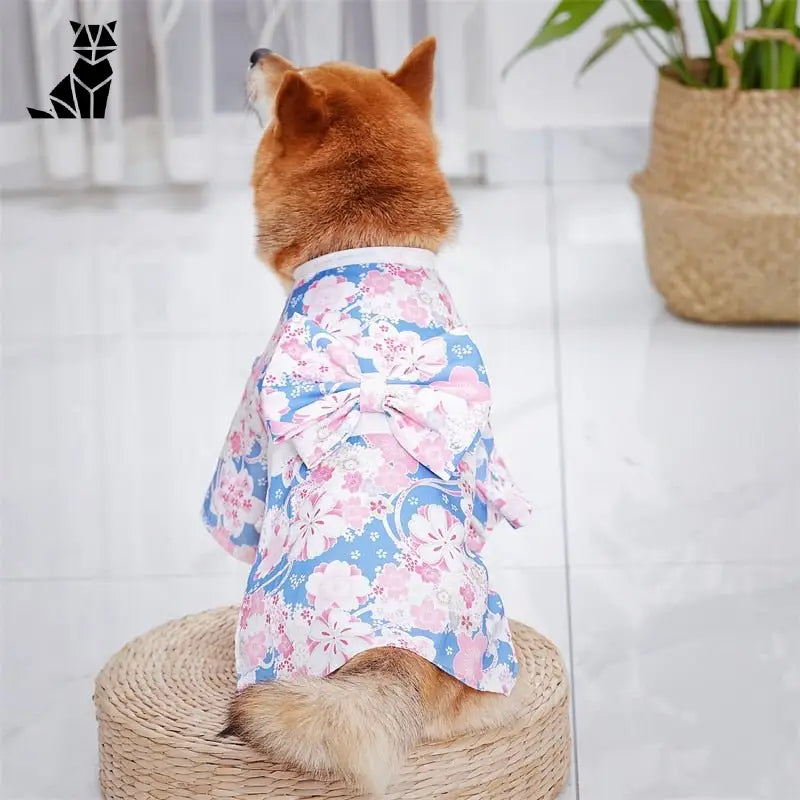 Un chien vêtu d’une chemise japonaise à fleurs de style kimono