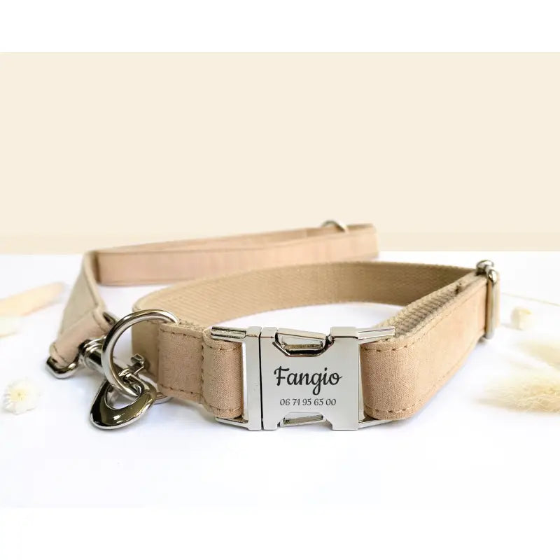 Kit Complet Chien Personnalisé Coton Beige