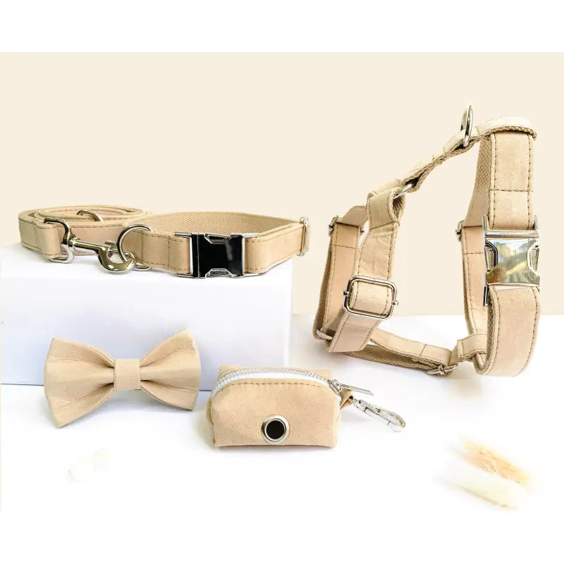Kit Complet Chien Personnalisé Coton Beige