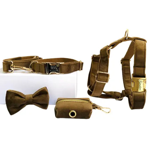 Kit Complet Chien Personnalisé Velours Lisse Marron Transparent Background