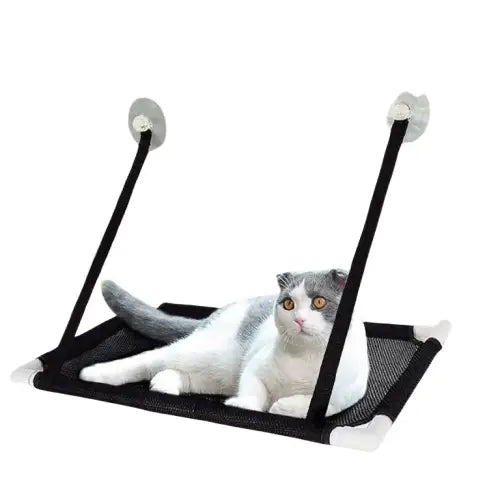 Chat se relaxant sur une balançoire confortable en toile attachée à un hamac de fenêtre pour chats Transparent Background