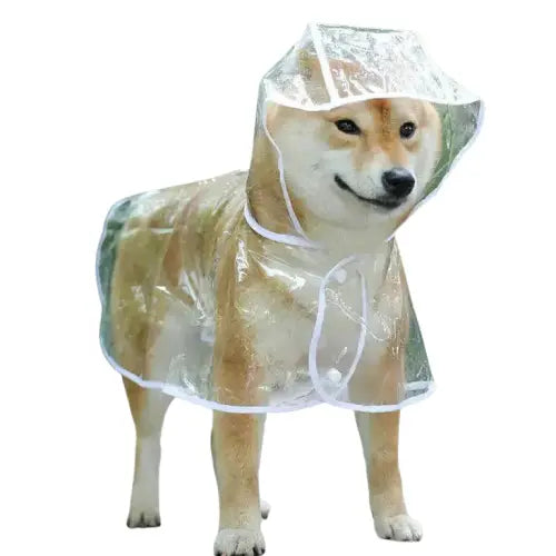 Chien dans un imperméable transparent pour une protection efficace et un design élégant Transparent Background