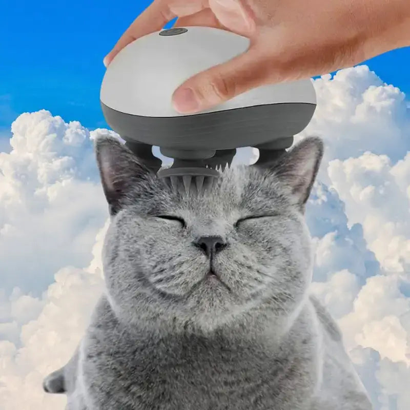 Masseur pour chat | MasseMiaou™