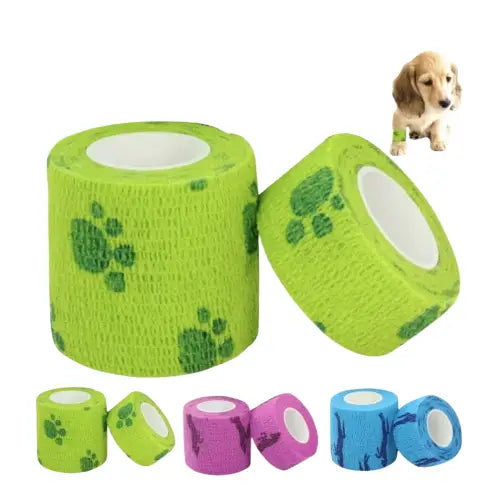Bandage pour chien Transparent Background