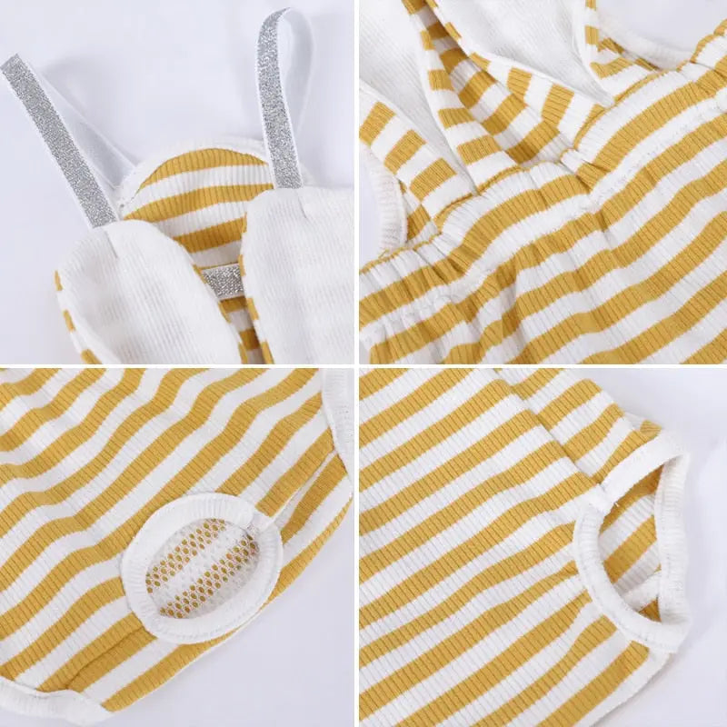 Vue arrière d’un short rayé jaune et blanc pour chien - Lavable Physiologique Shorts for Dogs
